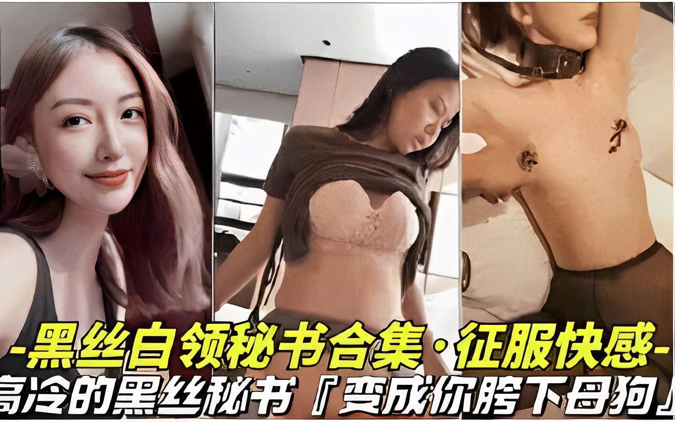 黑丝白领秘书合集·征服快感.高冷的黑丝秘书变成你胯下母狗！