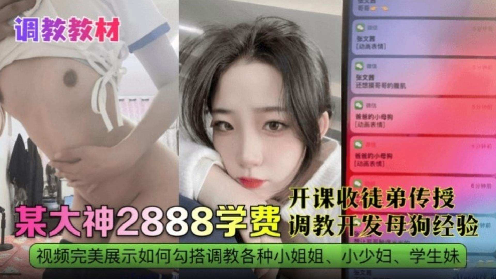 【调教教材】某大神 调教开发母狗经验，极品反差婊网红黑料
