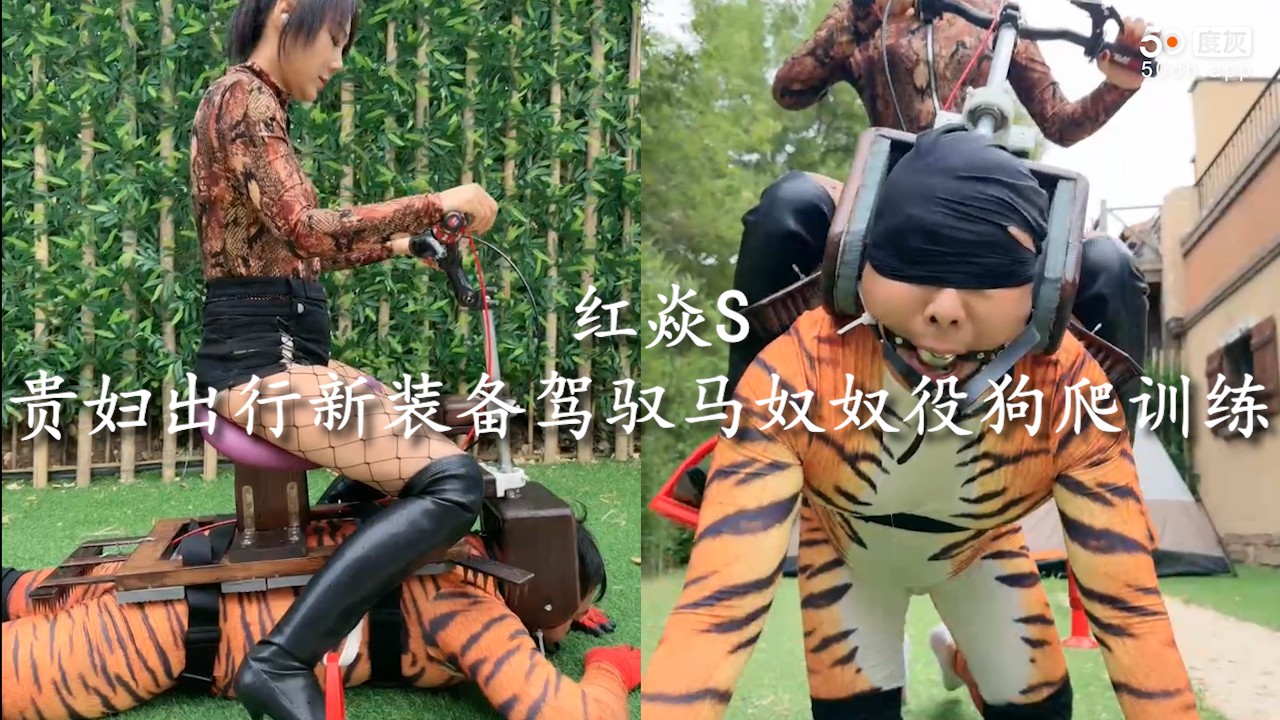 【重磅来袭】贵妇出行新装备驾骑马奴出门训练